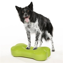FitPaws K9 Fitbone Balance Træning Til Hund Green